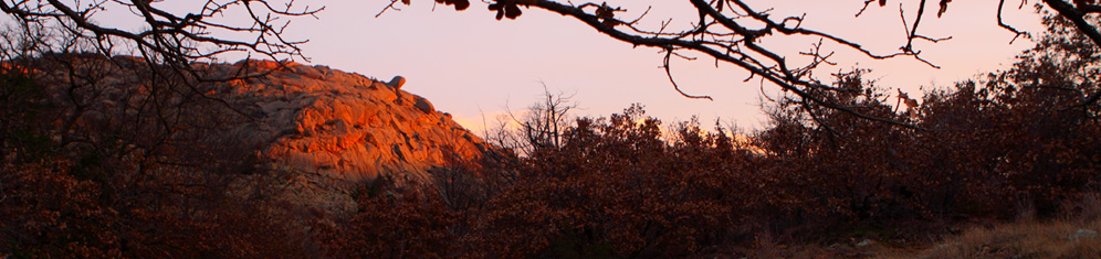 Pear and Apple, by Ryan Ray