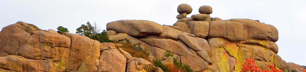 Crab Eyes, photo by Ryan Ray