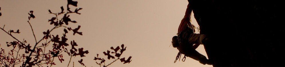 Pear and Apple, by Ryan Ray